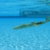 img_8935